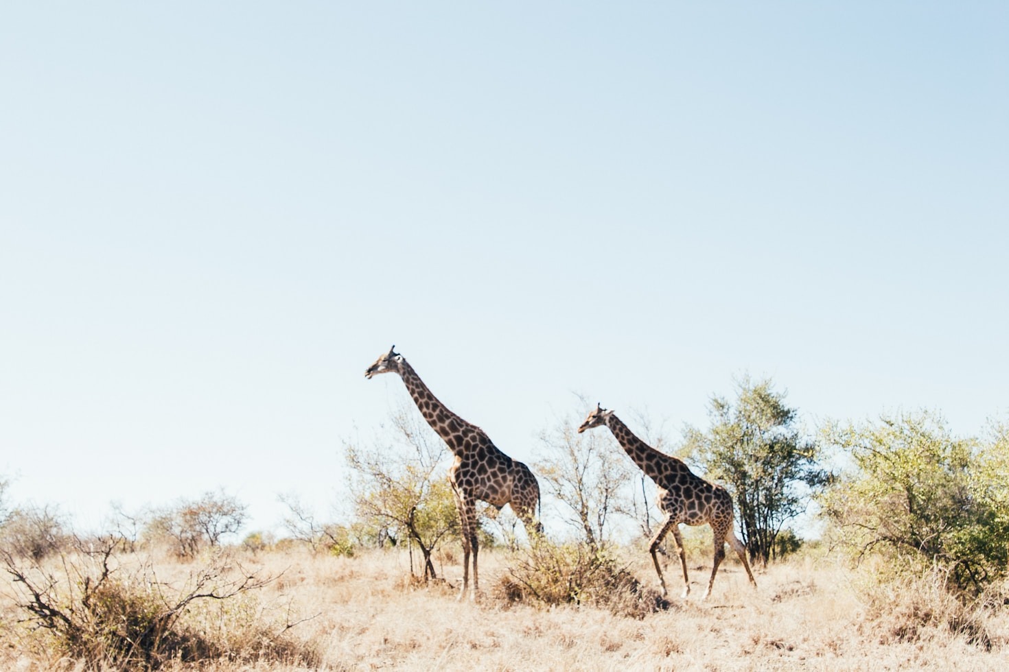 Persönliche Erfahrungen: Südafrika mit AT Travel